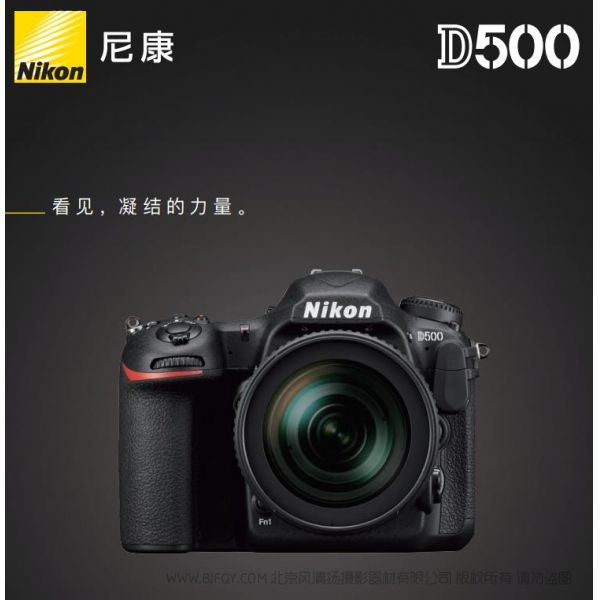Nikon D500尼康宣传彩页Nikon D500 海报 宣传册Nikon D500 经销商宣传画册 Nikon D500展会宣传图 
