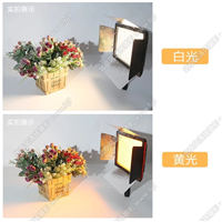 永诺YN600L led摄影灯常亮补光灯可调双色温微电影直播灯外拍灯