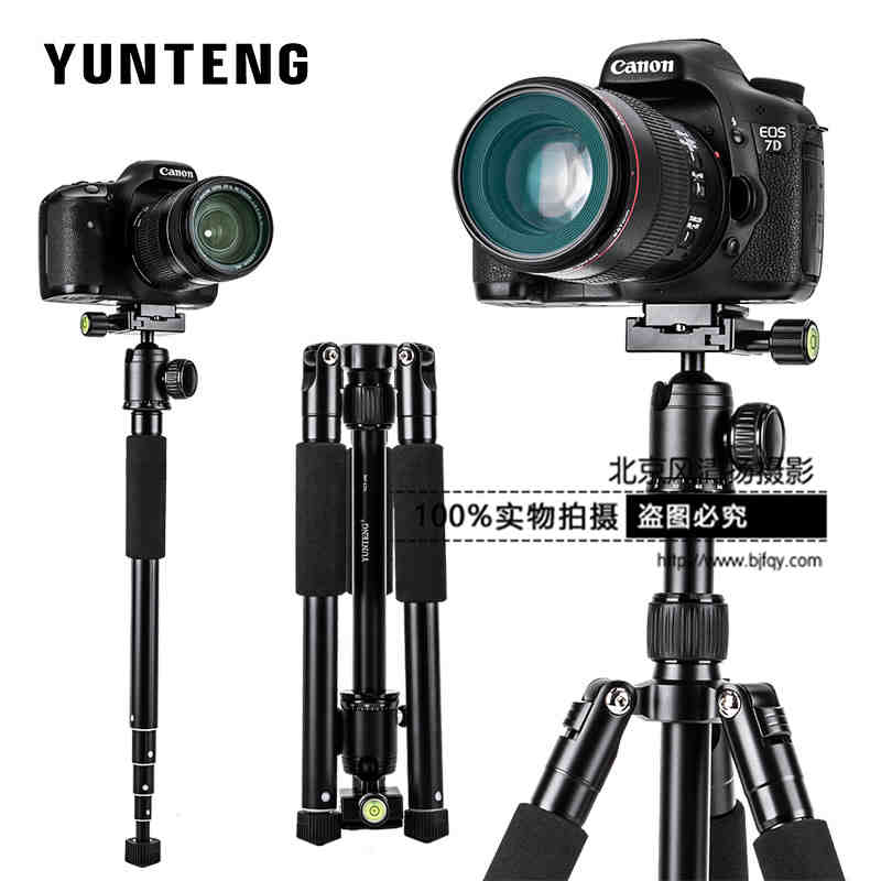 云腾190单反照相机三脚架微单摄影便携三角架手机直播自拍支架