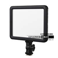 神牛LED补光灯 常亮灯 佳能单反索尼摄像机 外拍婚庆摄影灯摄像灯