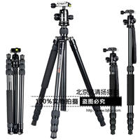 沃尔夫冈 三脚架 独脚架 用于佳能7D 5D3 5DS R 5D4 尼康D810 800 D850 D750 三脚架 专业单反相机使用 JZ-608+YT02