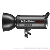 金贝 MSN-600PRO 专业高速影室闪光灯 