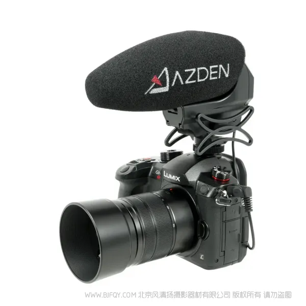 阿兹丹 Azden SMX-30 Stereo/Mono Switchable Video Microphone