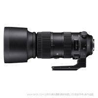 sigma/适马 Sports 60-600mm F4.5-6.3 DG OS HSM  大变焦标准长焦镜头sport打鸟人像