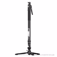 YC ONION 洋葱工厂 松塔独脚架PRO MQP162 Pineta Pro