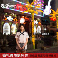 锐玛led摄影补光灯 影棚摄像灯婚庆微电影外拍常亮双色温柔光拍摄