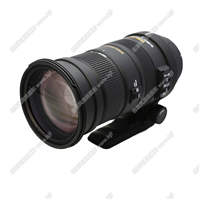 Sigma/适马 50-500mm F4.5-6.3 APO镜头 十倍远摄 长焦镜头 打鸟